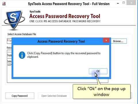 Access Password Recovery Tool
